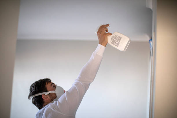 Best Mold Cleaning Services  in East Whittier, CA