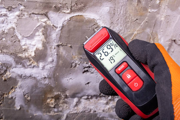 East Whittier, CA Mold Removal Company