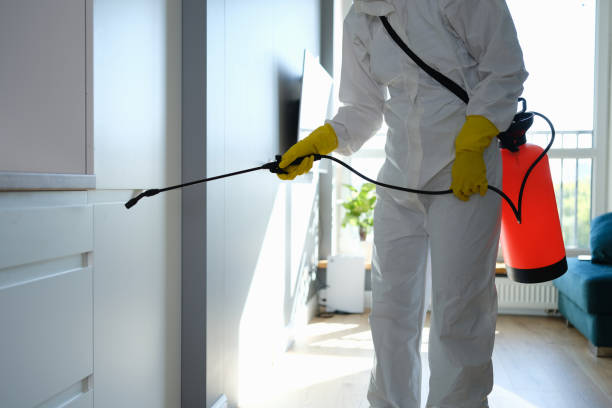 Best Mold Testing  in East Whittier, CA