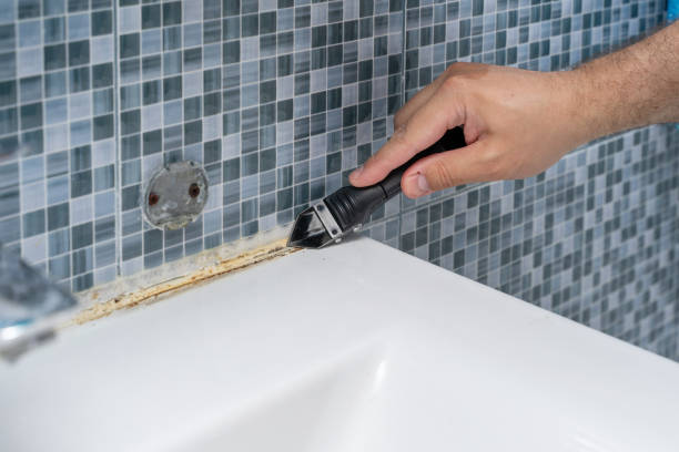 Best Affordable Mold Removal  in East Whittier, CA