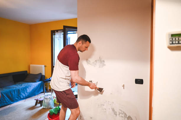 Best Professional Mold Removal  in East Whittier, CA