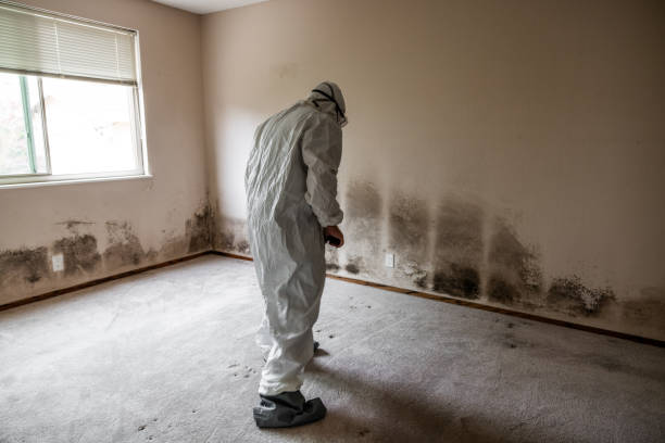 Crawl Space Mold Removal in East Whittier, CA